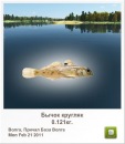Сергій Ковбуз фотография #15 (источник - https://vk.com/id88883409)