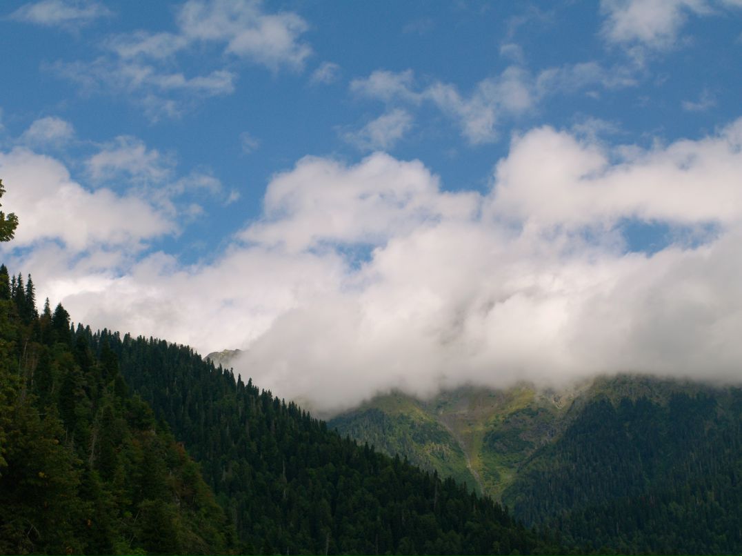 Дмитрий Крылов фотография #28