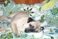 Фотография Зарубина Артема