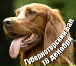 Фотография Ипатова Ильи