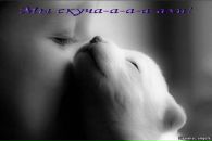 Фотография Шалаев Александр