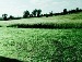 Андрій Климків фотография #15 (источник - https://vk.com/id110599109)