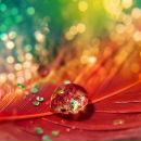 Фотография Радовой Анны