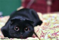 Таміла Голуб фотография #8 (источник - https://vk.com/id35814972)