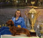 Фотография Митяевой Анны