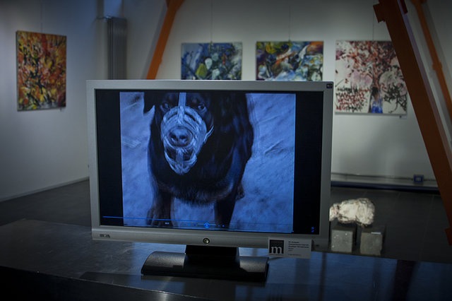 Лейли Асланова фотография #8