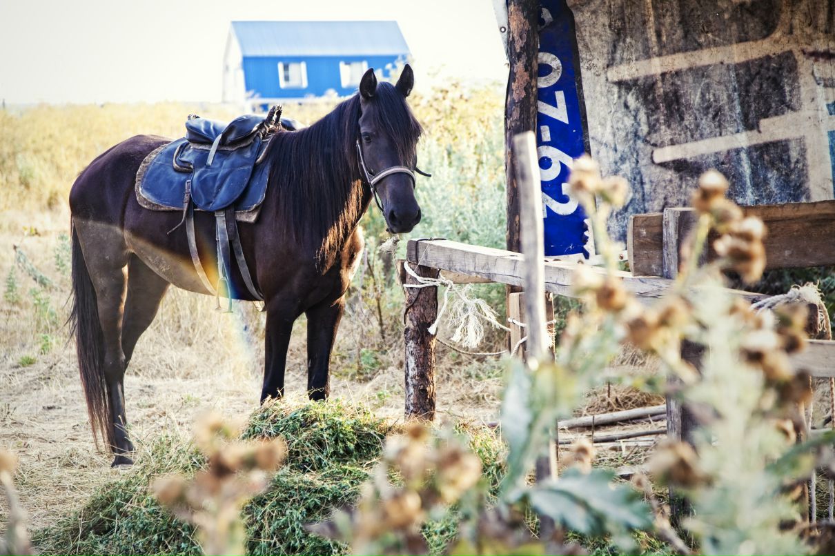 Иван Рогачев фотография #25