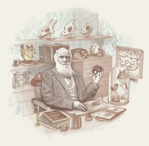 №6, Михаил Блашенцев, 37 лет, Воронеж №6, Михаил Блашенцев, 37 лет, Воронеж