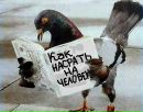 Коростіль Олександр фотография #45 (источник - https://vk.com/id85951164)