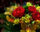 Віталік Кирильчук фотография #6 (источник - https://vk.com/id29452331)