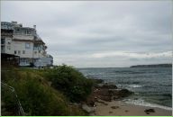 Фотография Кота Даниэля