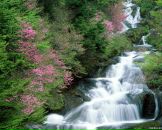 Анастасія Резнік фотография #16 (источник - https://vk.com/id155784237)