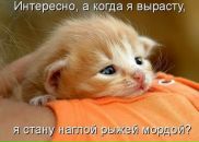 Юлія Ковальчук фотография #20 (источник - https://vk.com/id32600762)