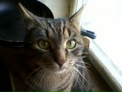 Фотография Воронича Максима