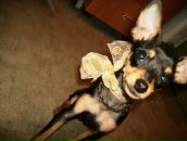 Julia Bork фотография #47 (источник - https://vk.com/id1985343)