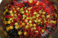 Фотография Полякова Екатерина