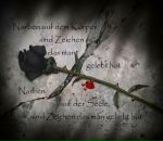 Фотография Павелковой Ани