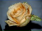 Юлія Кузьмич фотография #38 (источник - https://vk.com/id49447106)