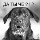 Юлия Лёва фотография #40 (источник - https://vk.com/id5084591)