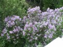 Фотография Заровняевой Елены
