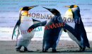 Александр Ермаков фотография #13 (источник - https://vk.com/id1757339)