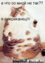 Славік Сташків фотография #7 (источник - https://vk.com/id49816414)