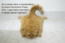 Мария Попенко фотография #34 (источник - https://vk.com/id18621389)