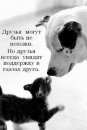 Простите Все фотография #3 (источник - https://vk.com/id8986829)