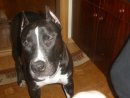 Сіма Сімона фотография #3 (источник - https://vk.com/id17108356)