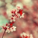 Вікуся Романюк фотография #11 (источник - https://vk.com/id167549660)