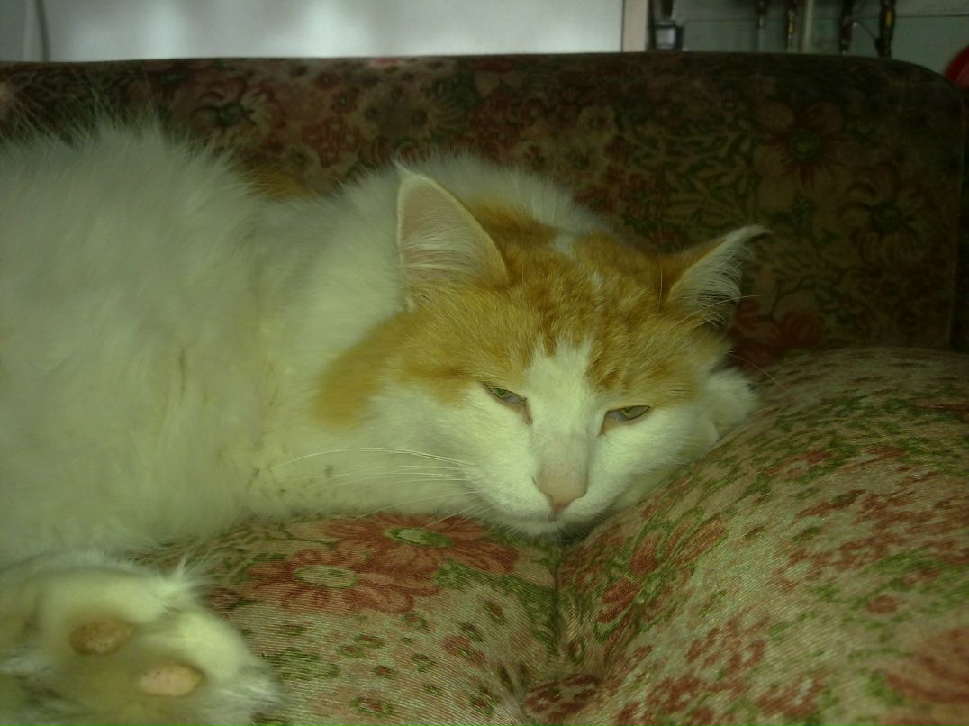 Антон Дурин фотография #20