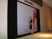 Фотография Stremkovskaia Margarita