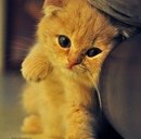 Іра Дяковська фотография #6 (источник - https://vk.com/id137411715)