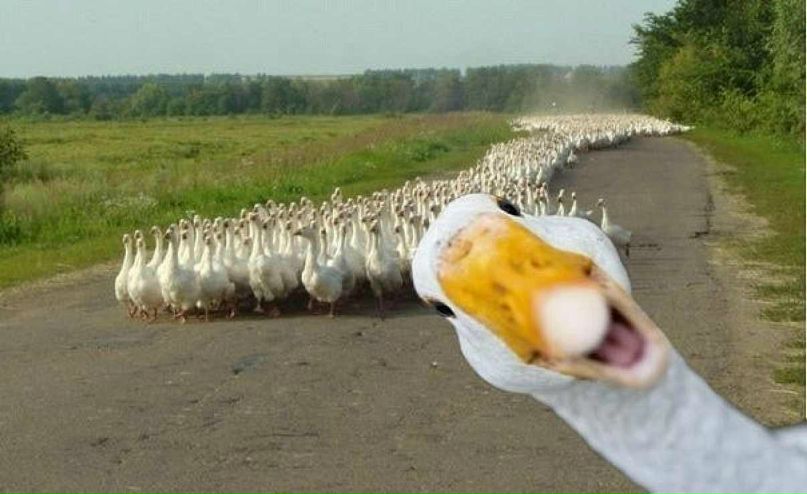 Руслан Федько фотография #19