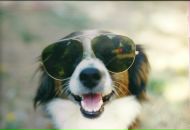 Оксана Онишків фотография #32 (источник - https://vk.com/id165632246)