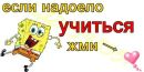 Іван Штефан фотография #45 (источник - https://vk.com/id184084752)