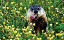 Павел Макеев фотография #50 (источник - https://vk.com/id365905)