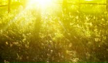 Фотография Семенюты Елены