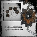 Краплинка Радості фотография #26 (источник - https://vk.com/id161739885)