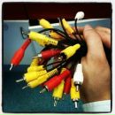 Фотография Вечер Алена