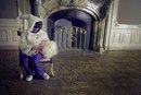 Ліля Кіш фотография #14 (источник - https://vk.com/id155179096)