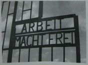 Фотография Рябинкина Дмитрия