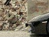 Коля Бацвін фотография #11 (источник - https://vk.com/id74206904)