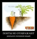 Фотография Ромашко Алексея