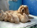 Фотография Захватошиной Светланы