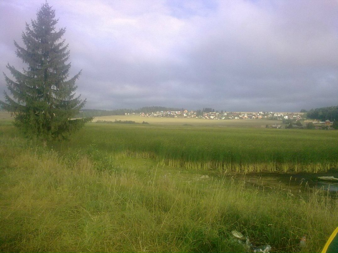 Дмитрий Опарин фотография #7