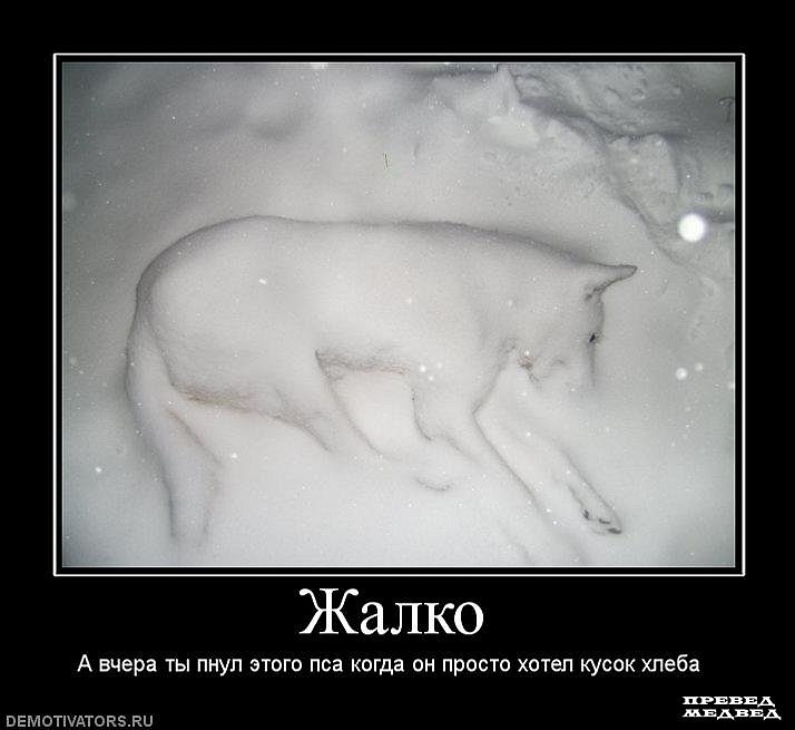 Машеньк@ Сбитнев@ фотография #49