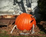 Фотография Аникиевой Анастасии