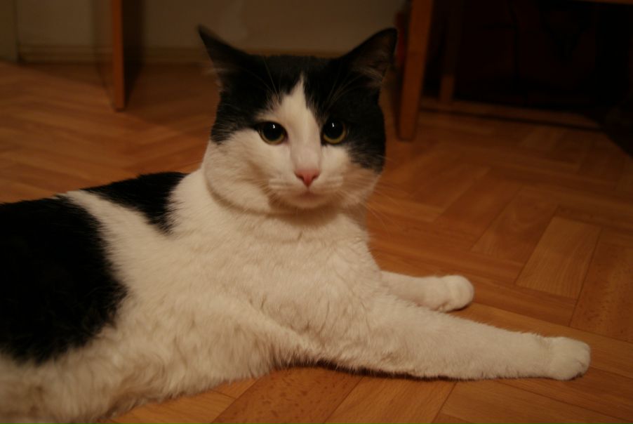 №19, Настя Пашинина, Москва, Россия №19, Настя Пашинина, Москва, Россия