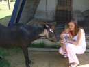 Люда Семенюкгордійчук фотография #7 (источник - https://vk.com/id44354412)